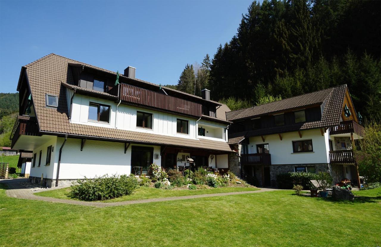 Hoellkopf - Stubenhof, Black Forest Simonswald Buitenkant foto